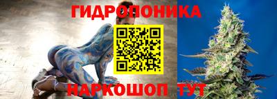 PSILOCYBIN Бийск