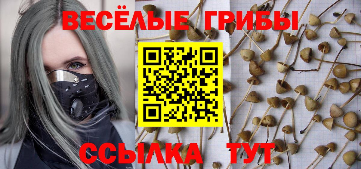 Калач-на-Дону  Галлюциногенные грибы Psilocybine cubensis  закладки  Вход с VPN  Галлюциногенные грибы GOLDEN TEACHER 
