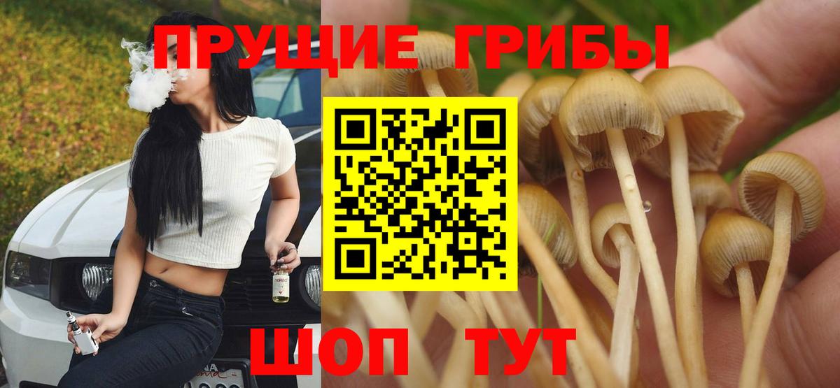 Галлюциногенные грибы прущие грибы Калач-на-Дону