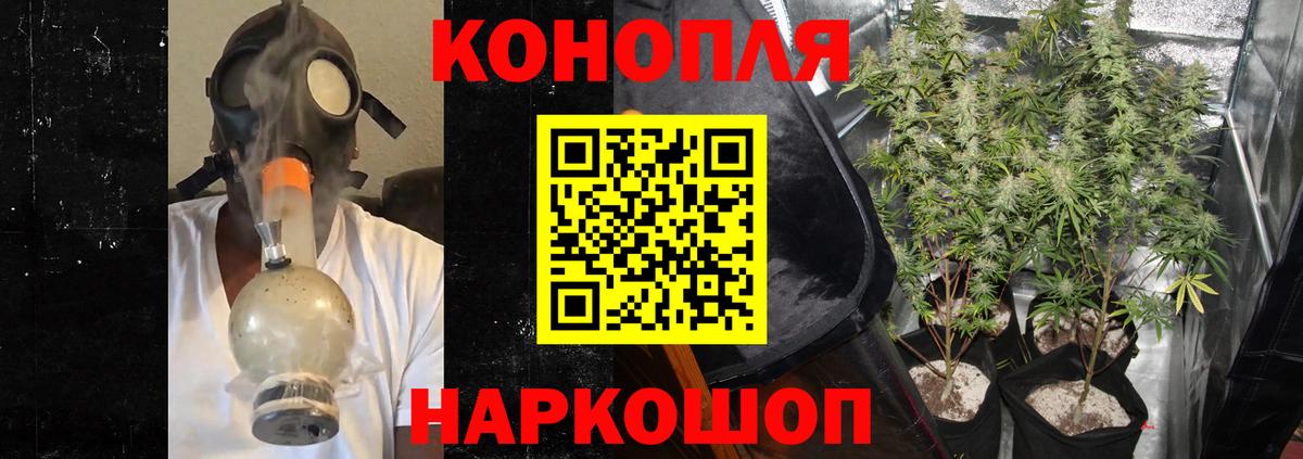 Каннабис планчик Калач-на-Дону